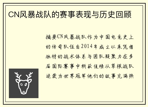 CN风暴战队的赛事表现与历史回顾